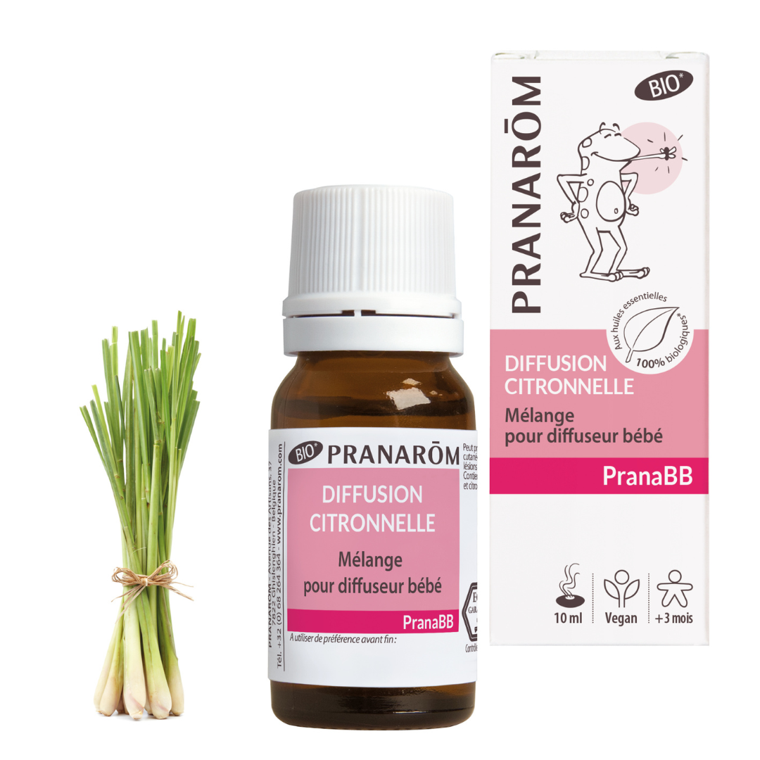 Citronella Duftöl-Mischung BIO - 10ml